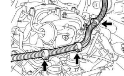 Disconnect the purge hose from the front of the intake manifold, but leave it connected to the front of the purge valve.