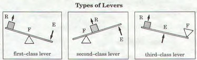 To find the MA of a lever, divide the output force by the input force, or