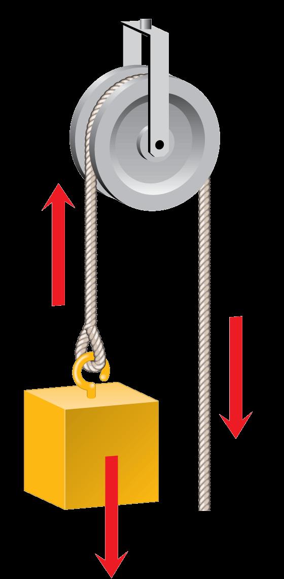Pulleys A fixed pulley changes only the