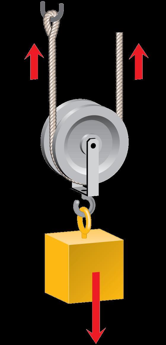 Pulleys Movable pulleys change both the direction and