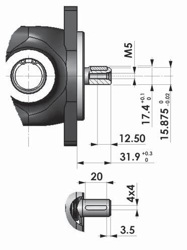 Mounting Flange and Shaft Options - SHAFT Parallel