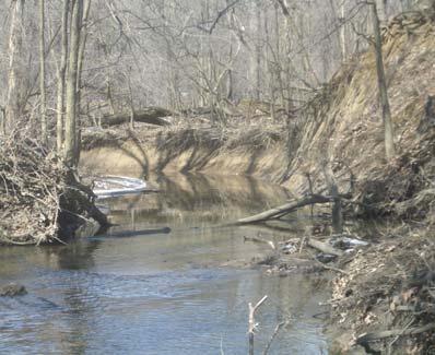 Category: Aquatic and Terrestrial Project: Poplar Creek Streambank Restoration Project #: 670055 e 15 Poplar Creek Streambank Restoration (Future Grant Match) in order to stabilize eroded streambanks