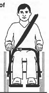 The junction of the shoulder belt and pelvic belt of three-point-belt restraints should be located near the hip opposite the shoulder over which the diagonal belt crosses and not near the midline of