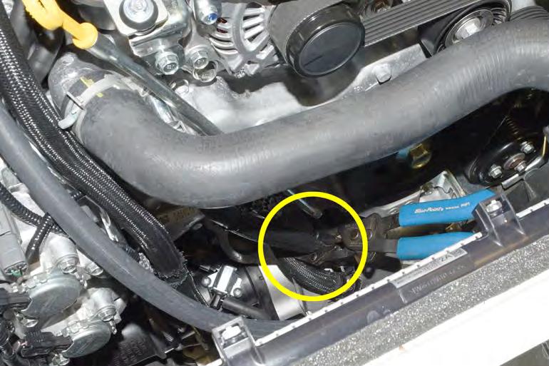 engine coolant port and the lower coolant hose