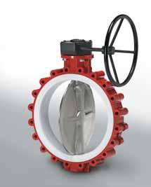 Special features: The pipeline is flanged on one end, the closed disc blocks as a deadend valve against a pressure from up to 10 bar depending on the temperature.