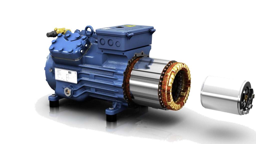 Implementation of special motors In addition to the standard motors (400V, 50Hz) the semi-hermetic compressors can be ordered with motors for special power supplies.