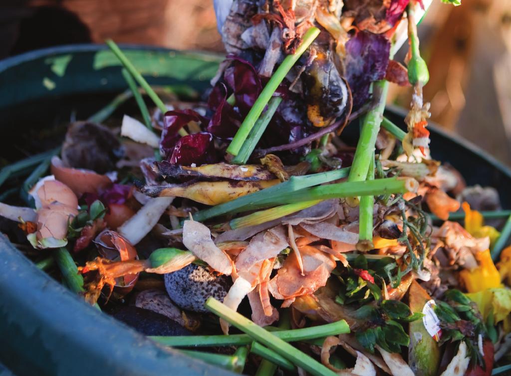 Guide to Compostable Collection for the Multi-Family and