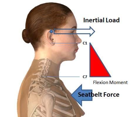 INTRODUCTION The seatbelt in a vehicle is the primary restraining device for any crash mode.
