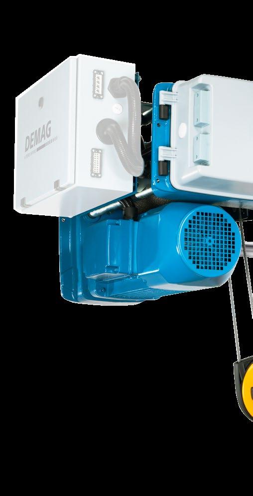 A rope hoist that offers a slew of features Control Particularly