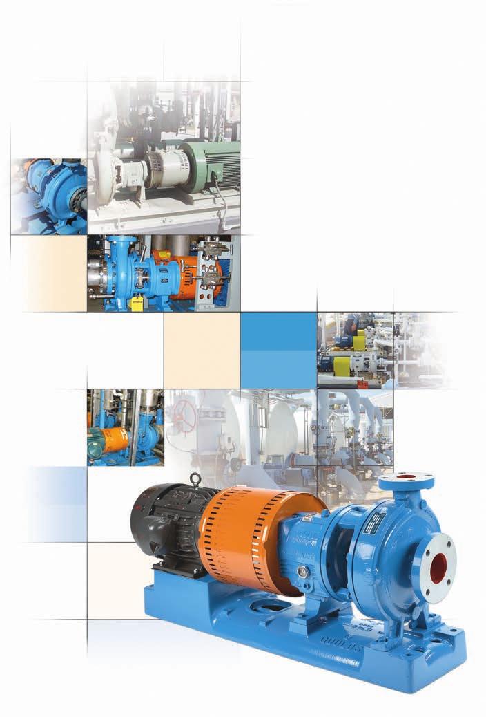 Proven Performance More Than One Million Process Pump Installations Worldwide When the Goulds 3196 ANSI Standard Dimension Process Pump was first introduced in 1961, it immediately became the
