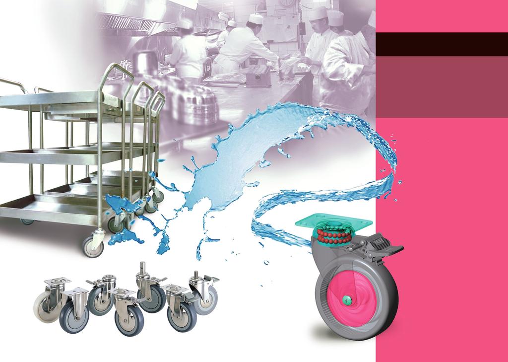 Stainless Steel Castors Application: Kitchen trolleys; food carts; food processing plants; restaurants and commercial kitchens; laboratory equipments.