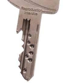 Plug: solid nickel-plated brass, grooved dome head for easier key insertion and improved resistance against picking.