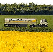 Market development Biodiesel