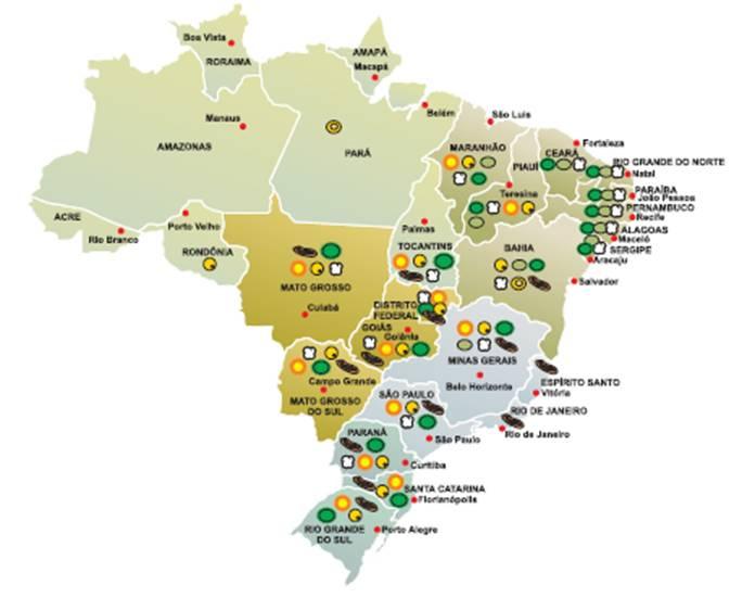 Oil crops production in Brazil Jatropha curcas Castor seed