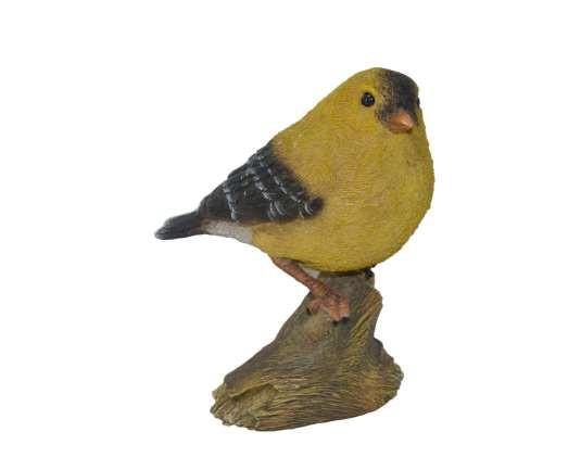 1014516 Chubby Bird