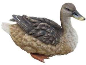 75 1714500 Mallard Duck