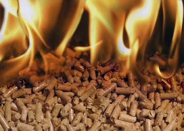 The Continued Development of the European Residential Wood Pellet Market Conclusions With some adjustments, most pellet producers can make premium pellets The European residential wood pellet market