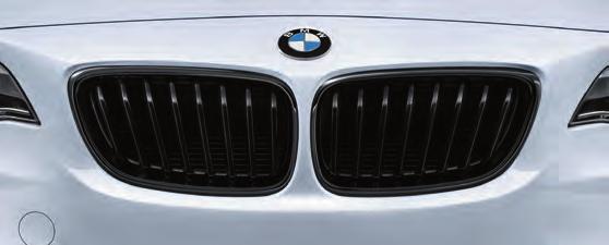 51 71 2 336 815-16 (BMW 2 Series) Tailpipe Finishers, Titanium. * The tailpipe trim in high-quality titanium is an unmistakable visual highlight.