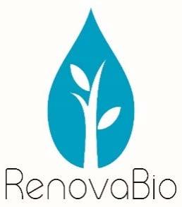 The Implementation of RenovaBio: National Biofuel