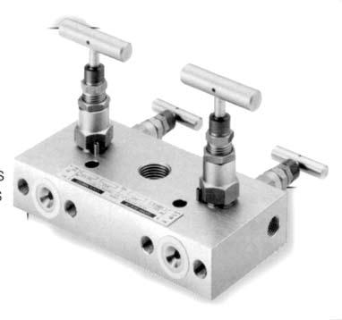 Two Valve ingle Mount alibration Manifold - 6M2M 6M2M two valve pressure manifold is designed for direct mounting, single instrument applications.