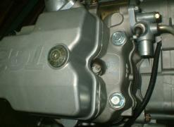 15 ± 0.02 mm Start the engine and make sure that engine oil flows onto the cylinder head.