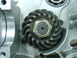 Clean off any dye or paste from the gear teeth, and lubricate the teeth with engine oil.