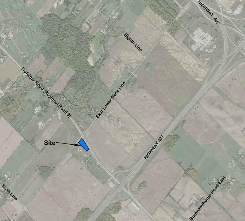 1255723 Ontario Inc. 1 Trafalgar Road & Lower Base Line Transportation Study February 2018 1.0 Introduction 1.1 Background (Burnside) was retained by 1255723 Ontario Inc.