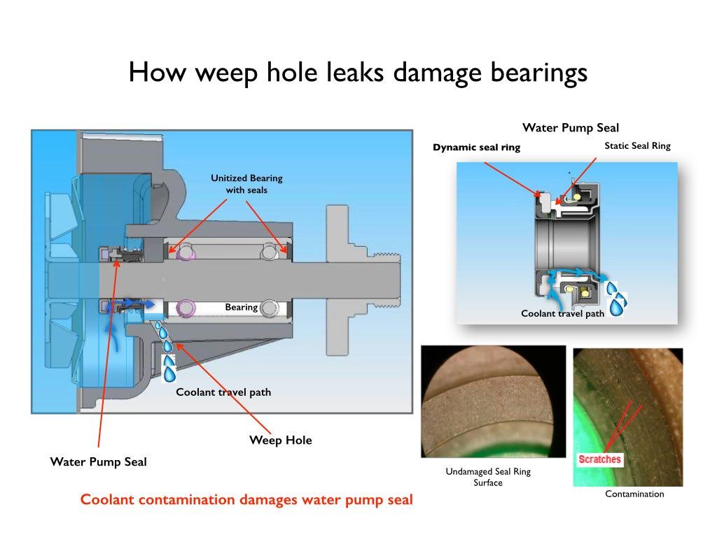 Slight leakage is a normal part of water pump lubrication in many designs.