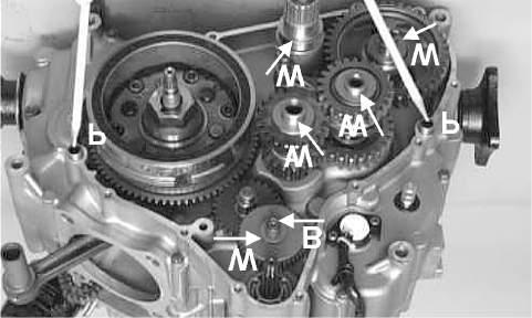 Place the gasket and left-side cover into position on the crankcase.