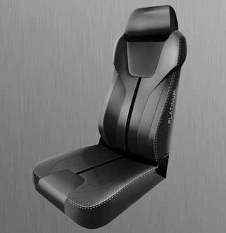 Accent Stitch: Silver Panel Accent: Platinum* PLATINUM SHADOW SEAT DESIGN AVIONICS PANEL New Seat Pattern Design Leather: Shadow Stitch: Black Interior Panels Upper