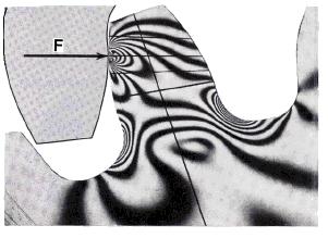 Figure 1.Photo Elastic Model of gear tooth [4]The surface failures occurring mainly due to contact fatigue are pitting and scoring.