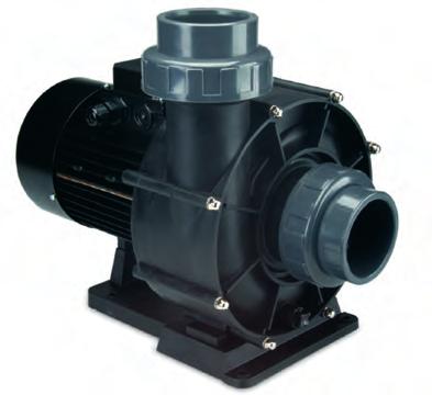 Osovina od nehrđajućeg čelika AISI 316 Monofazni motor 3, CV, 230 V - 50 Hz ili trofazni motori