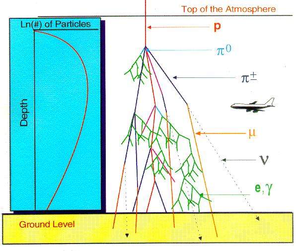 compared to ground level. Particle cocktail is different to ground level Source: astronomy.nmsu.