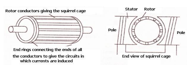 be a one or multiphase type. For example, a single phase induction motor is connected to the single phase power line and three-phase induction motors to the three-phase power line, respectively.
