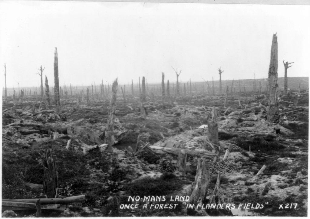 In this tract of land pocked with shell holes, every house and tree had long since been destroyed.
