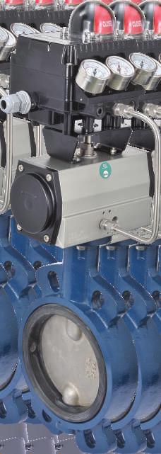 FEATURES Linear Cylinder with cam plate Cam plate can be