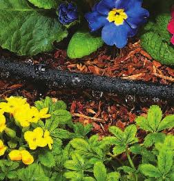Drip-A-Long System Includes a swivel adaptor that easily connects to a faucet, garden hose or RAINDRIP 1/2" poly hose.