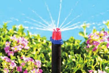 Turn the knob to adjust the flow (4-20 GPH @ 25 PSI) and spray. Rigid riser moves up or down to water above plants.