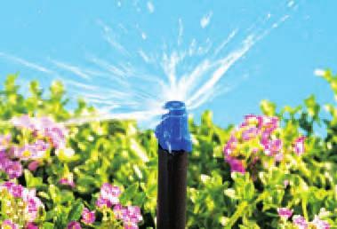 1/card 15 Quarter Circle Sprayer Assembly R173CB 1/card 15 MICRO SPRAY JETS For flowers, ground cover and hillsides. Use with R382CT.