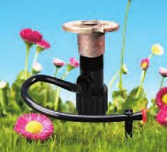 SPRINKLERS Connects RAINDRIP low-flow sprinklers to 1/2" MPT