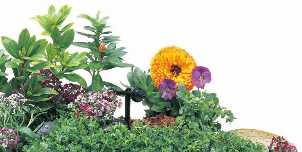 The kits objective is to make any level do-it-yourself gardener an instant expert.