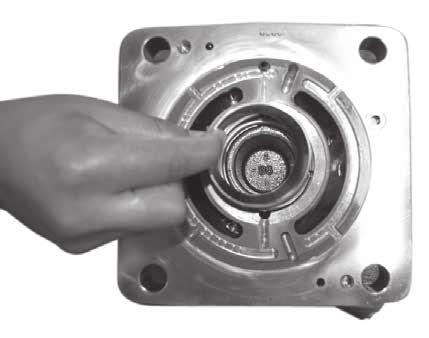 Install bearing race Caution: Use care while inserting shaft end through shaft seal.