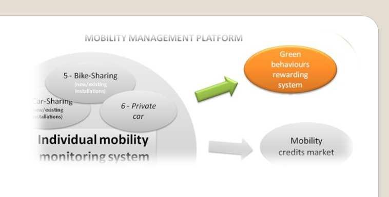 in respect to credit mobility market; -
