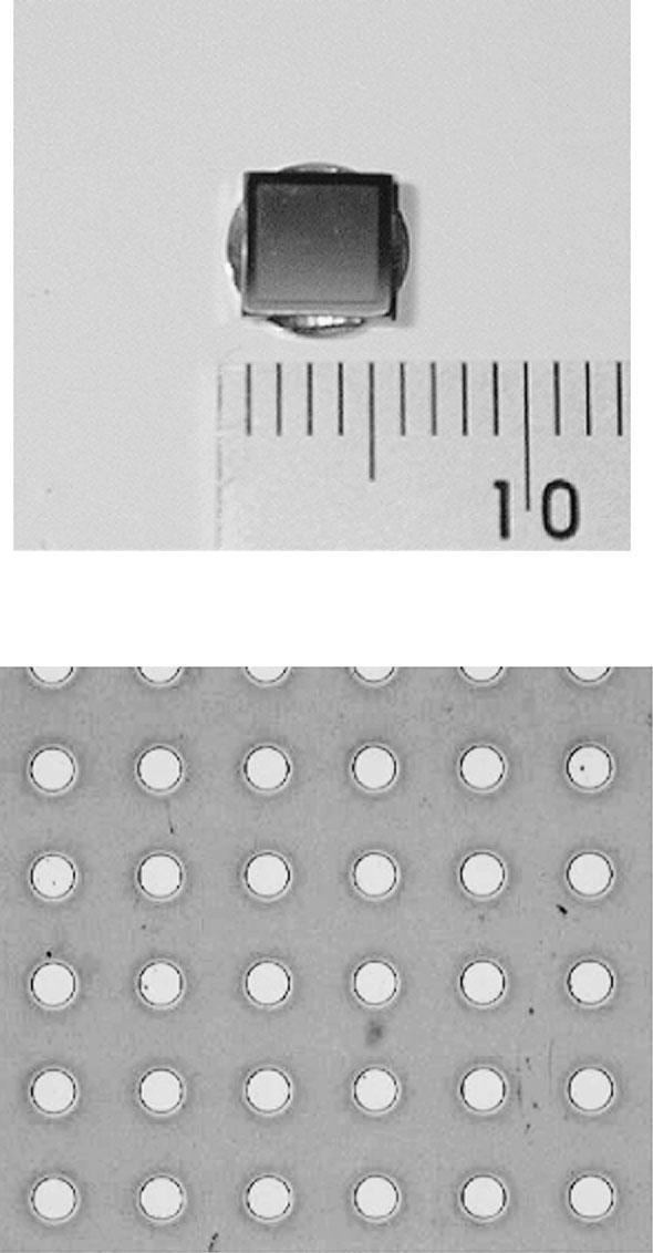1410 K. Sakano et al. / Advanced Robotics 24 (2010) 1407 1421 Figure 3. Photograph of a silicon slider with projections fabricated on the stator surface using a dry-etching process. Figure 4.