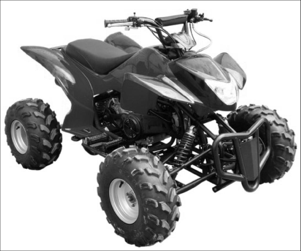 OWNER S MANUAL Blizzard 150 For more information on ATV Safety contact the Ricky Power Sports, LLC Toll Free at: 1-844-250-2199 Always wear a helmet: It could save your life!