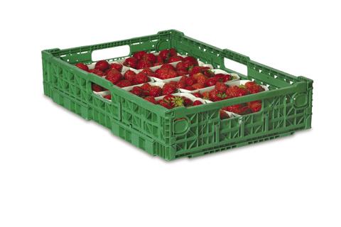 SOFT FRUIT Strawberries AT BE, NL DE ES FR GR IT UK * * ** * ** 4310 8 x 250 g Trays 2,00 kg 2,76 kg 152 304,00 kg 419,52 kg 190 380,00 kg 524,40 kg 6410 16 x 250 g Trays 4,00 kg 5,24 kg 76 304,00 kg