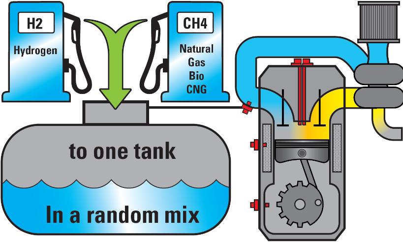 Alternative for diesel: Bio Diesel,