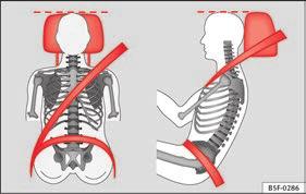 Any incorrect sitting position increases the risk of severe injuries.