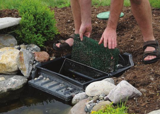 a complete water garden installation