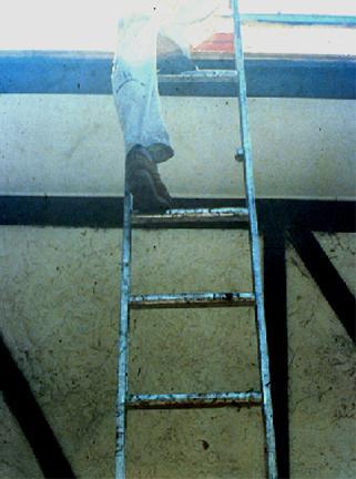 Damaged or Defective Ladders A competent person must inspect ladders for visible defects, like broken or missing rungs If a defective ladder is found,